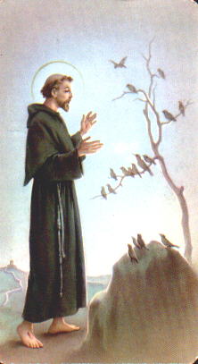 St Francis 1226-2026